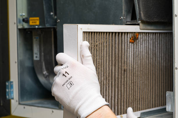 Best Residential Air Duct Cleaning  in Lincoln, ND